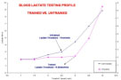 Marathon Physical Therapy: Performance Enhancement