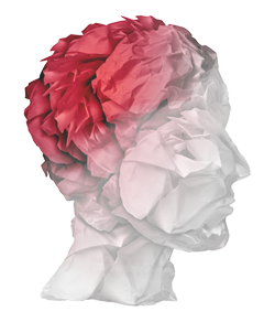 Marathon's conucussion program illustration: Illustration highlighting the human brain.